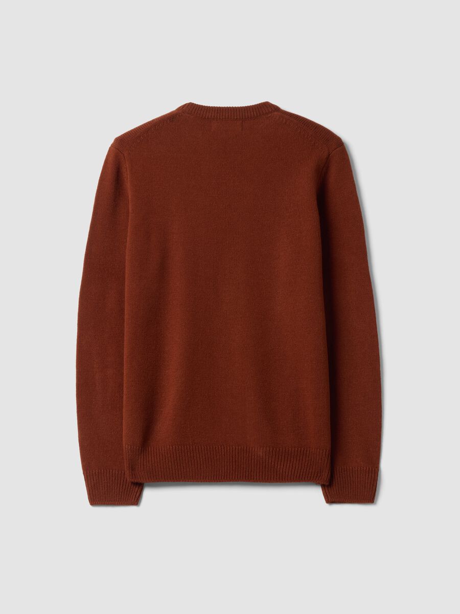 Brown crew-neck jersey knit jumper, regular fit_2