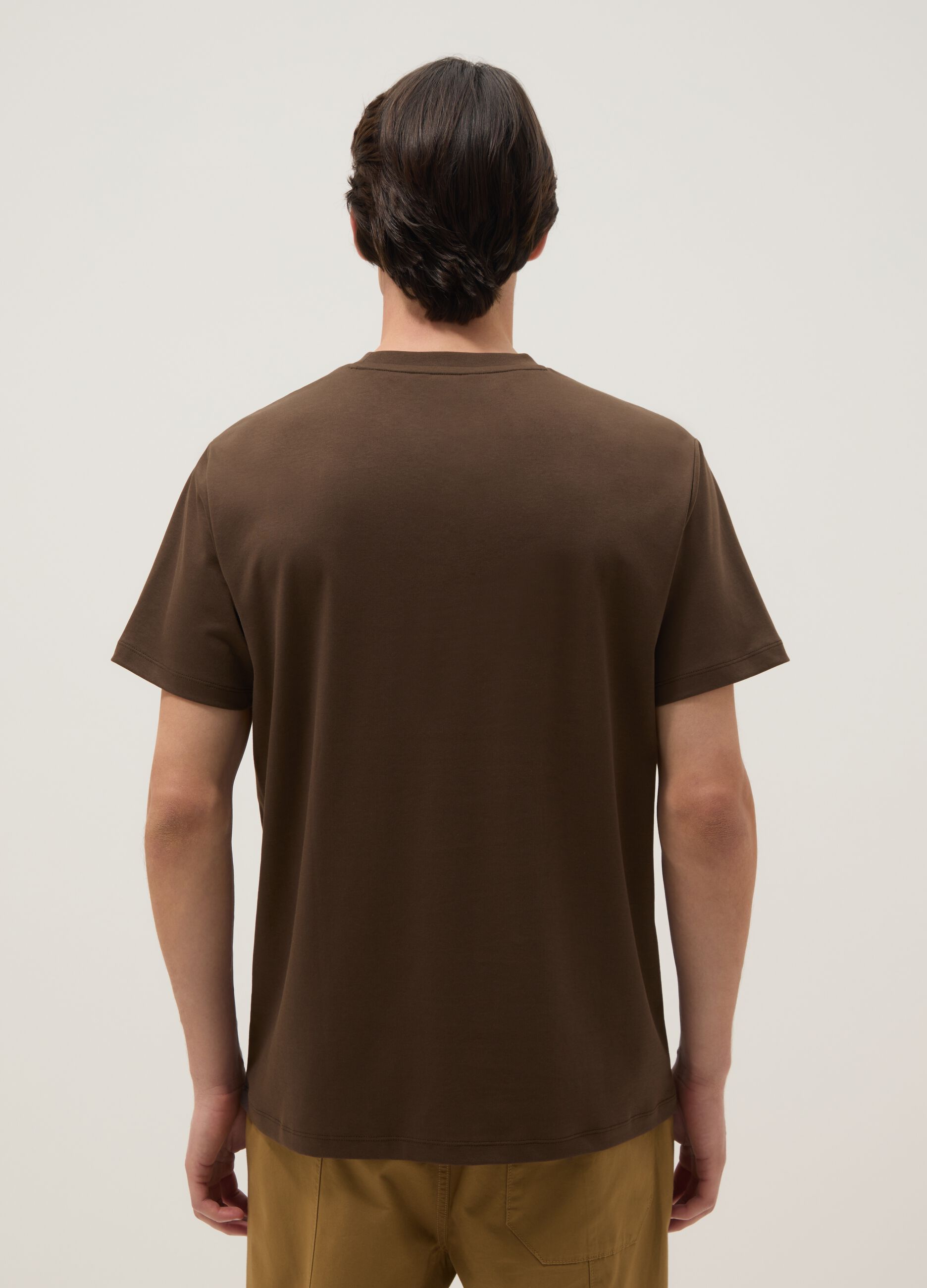 Brown regular fit crew neck T-shirt in pure cotton