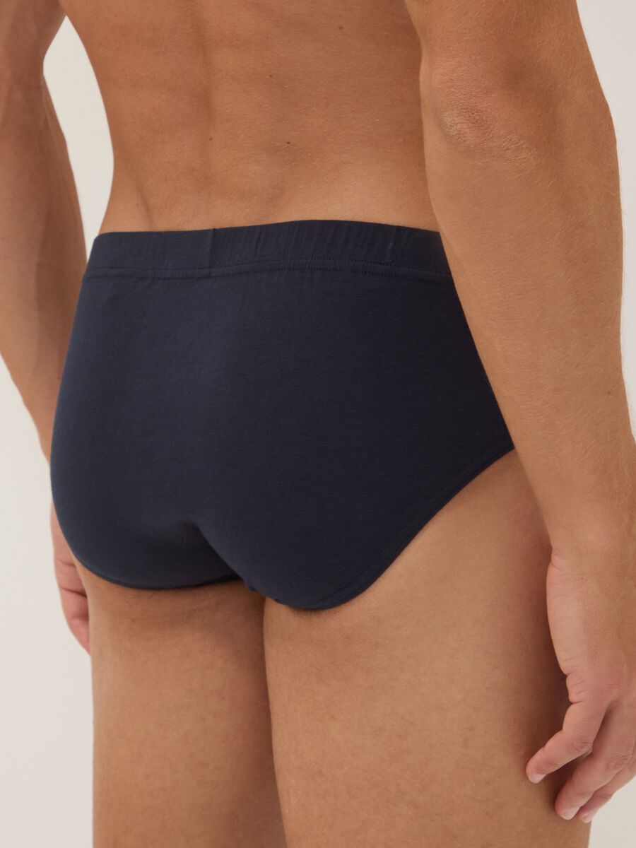 Blue organic cotton briefs_2