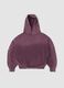 Sun-Faded Burgundy Hoodie_0
