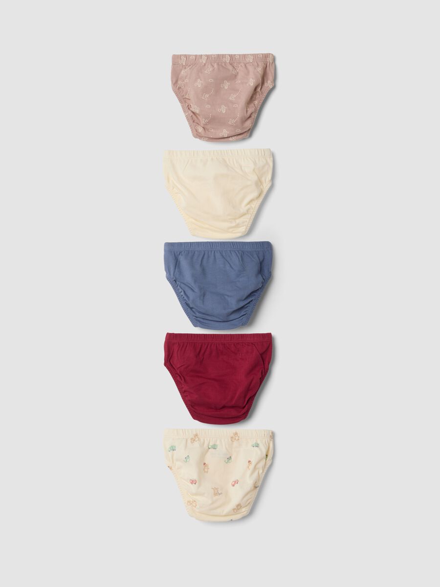 Pack of five multicoloured briefs in pure organic cotton_1