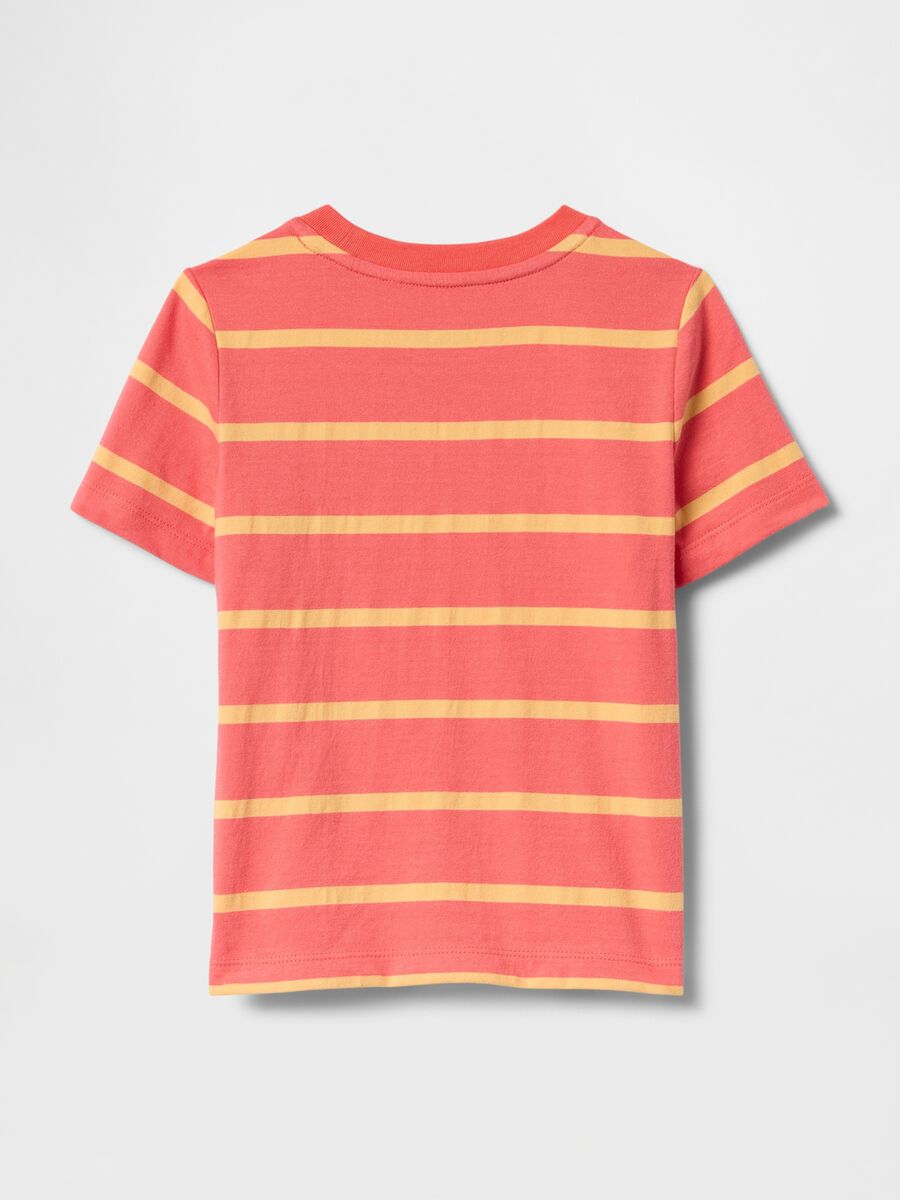 Orange and Yellow Striped T-shirt_1