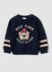 Blue pure cotton crew-neck jumper with puppy print for baby boy_0