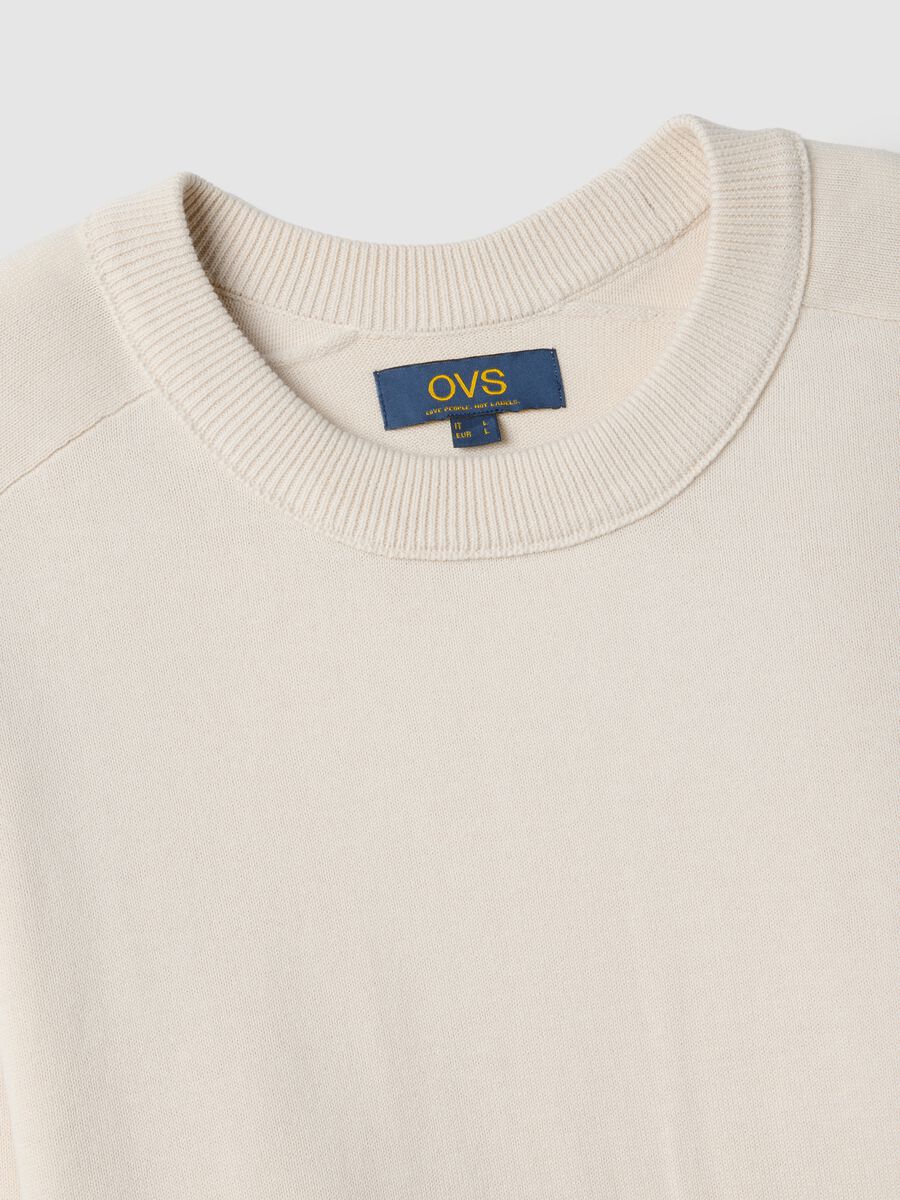Regular Fit Beige Crew Neck Sweater in Pure Cotton_5