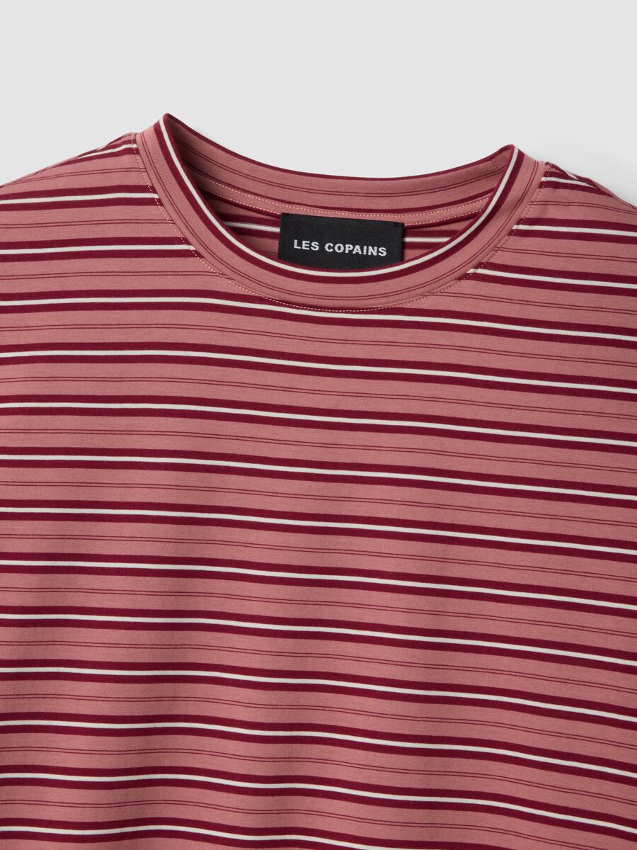 Pink striped cotton-blend T-shirt_5