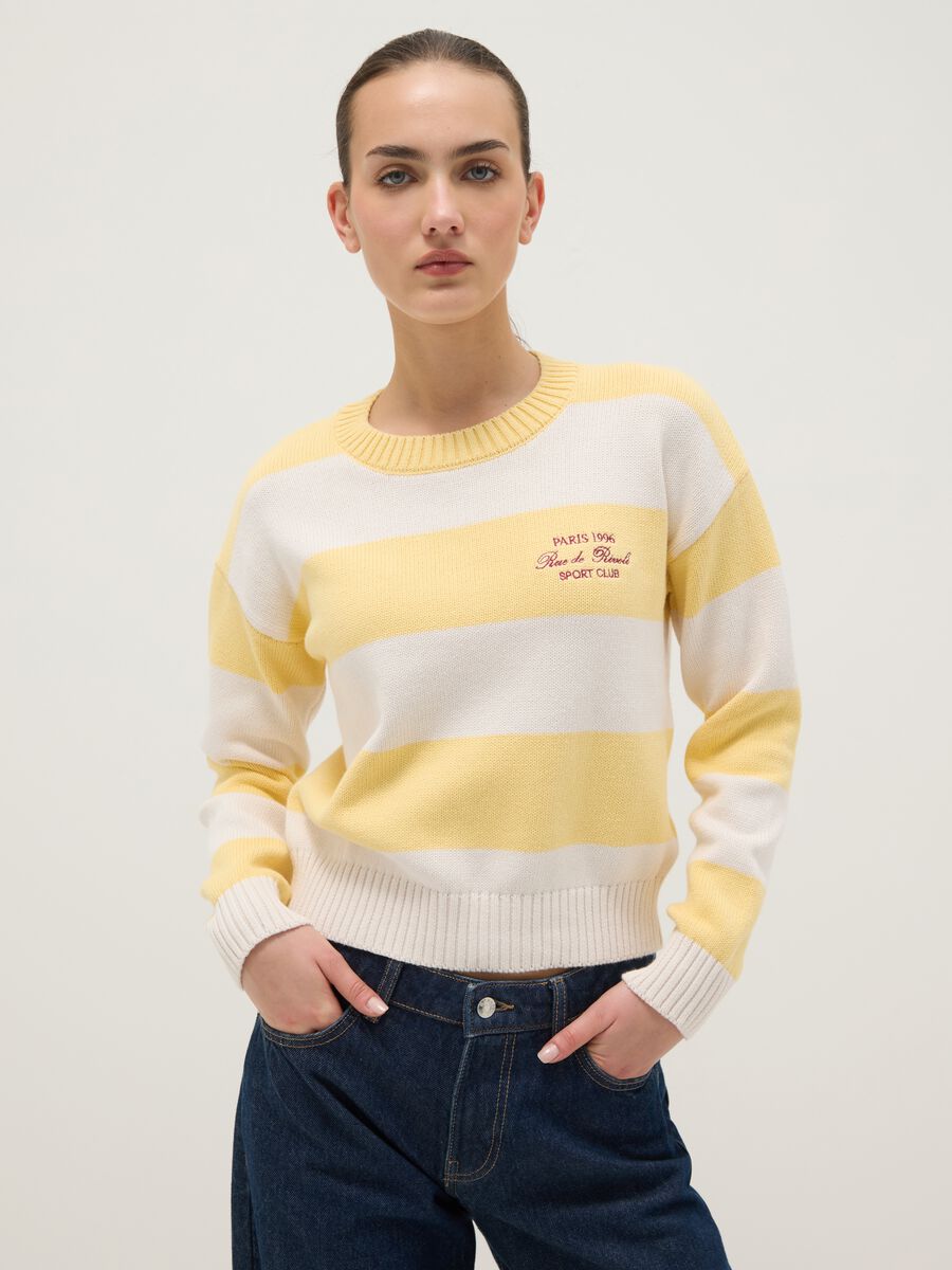 Multicolour striped cotton blend regular fit jumper_0
