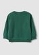 Green pure cotton crew-neck sweatshirt with print for boys, regular fit_1