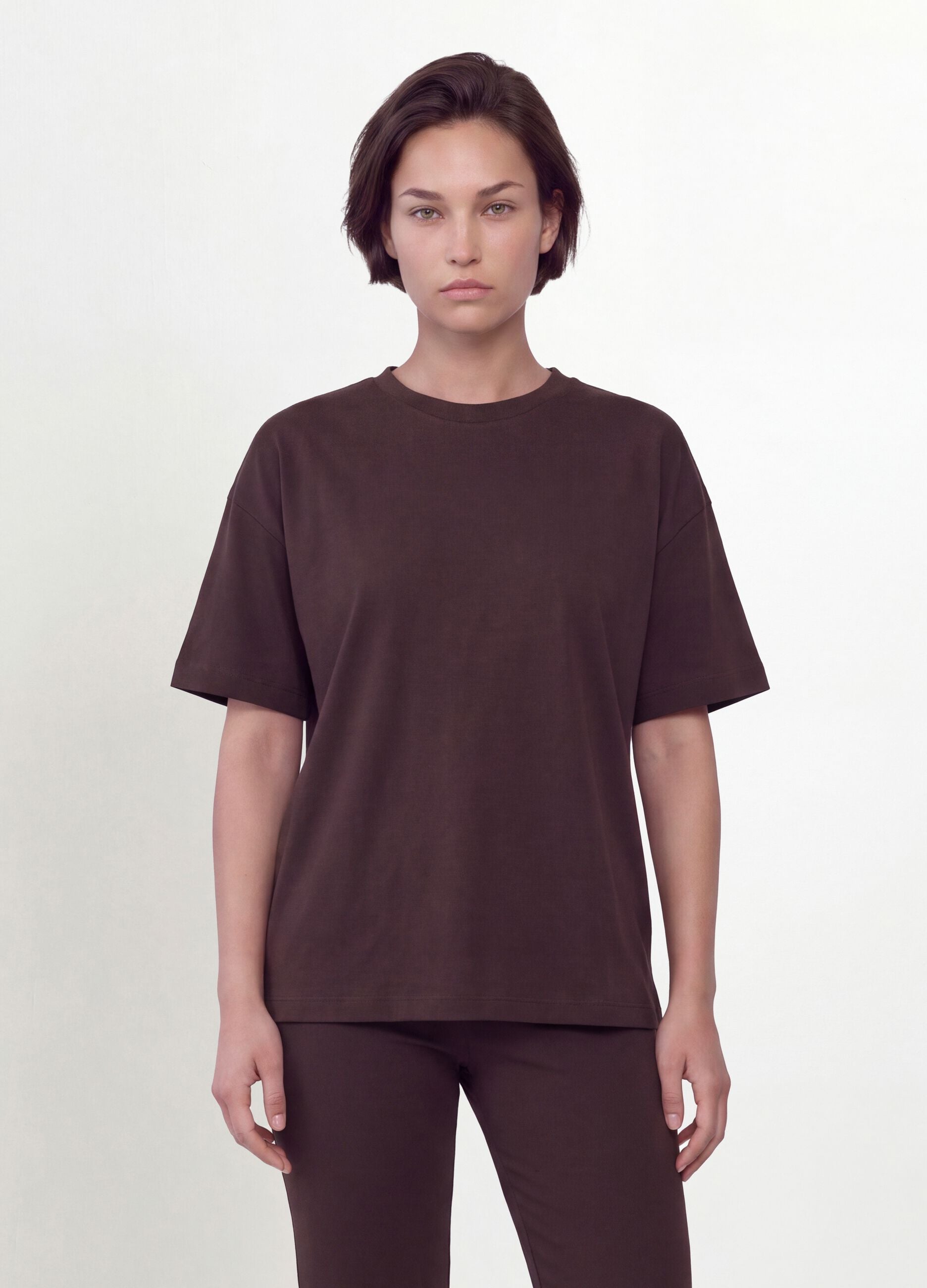 Brown crew-neck T-shirt in stretch cotton-modal blend, regular fit