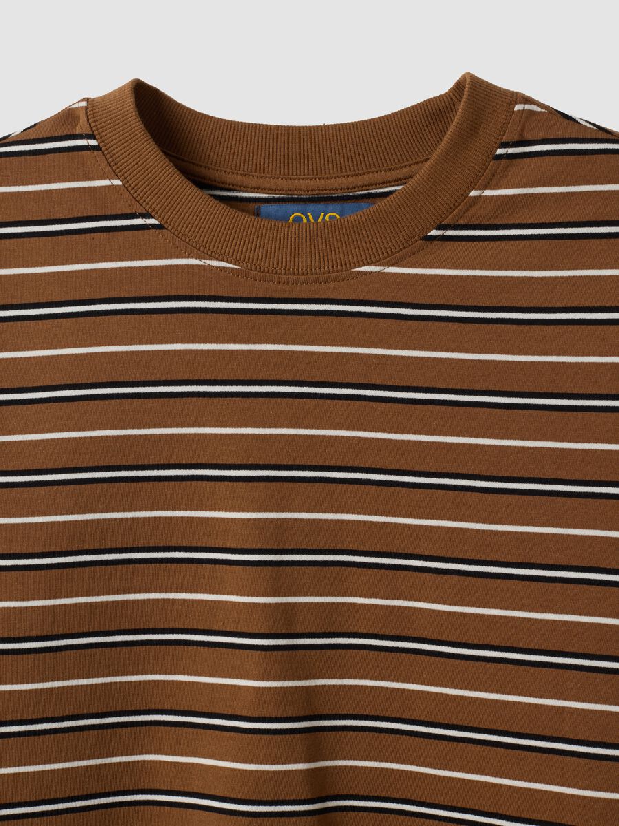 Multicolour pure cotton striped crew-neck T-shirt, regular fit_5