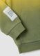 Boys' multicolour pure cotton sweatshirt regular fit with patch_2