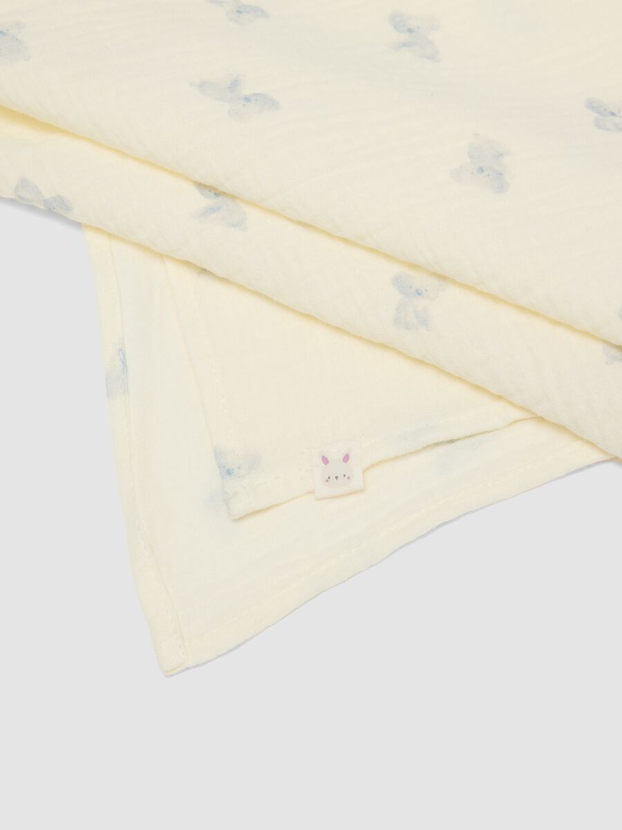 Two-pack of multicolour 100% cotton baby blankets_1