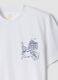 White pure cotton T-shirt with print, regular fit_5