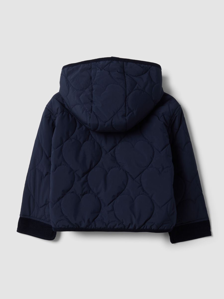 Girls&rsquo; blue quilted hooded jacket with ribbed trims_1
