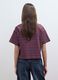 Multicolour striped pure cotton polo with oversized collar_3