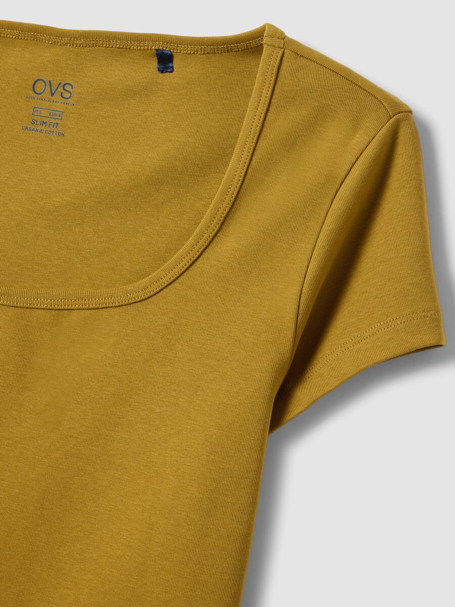 Green fitted stretch cotton T-shirt with square neckline_5