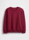 Red crewneck sweatshirt_4