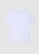 White pure organic cotton V-neck T-shirt_4