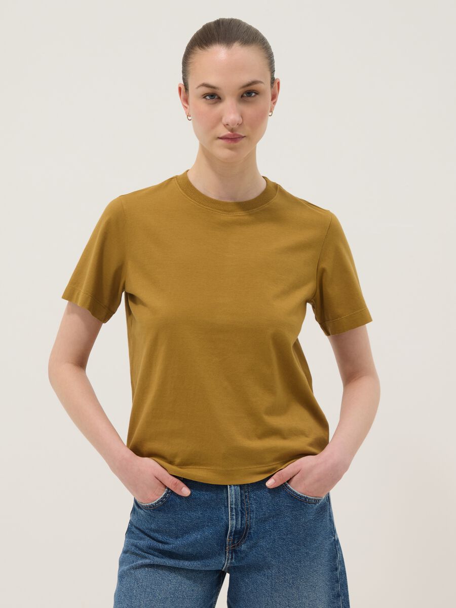 Brown short-sleeve pure cotton T-shirt, regular fit_0