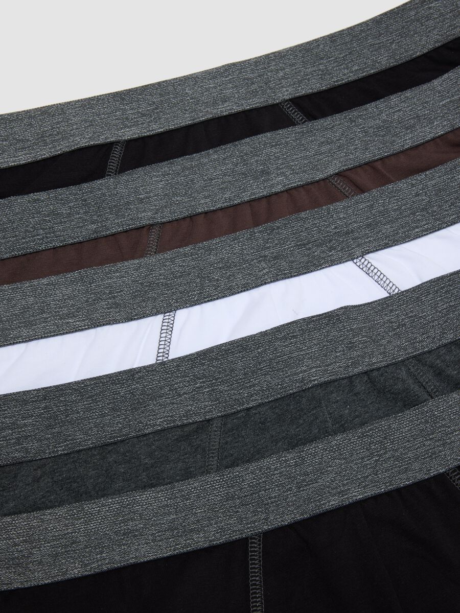 Pack of five multicoloured organic cotton briefs_5