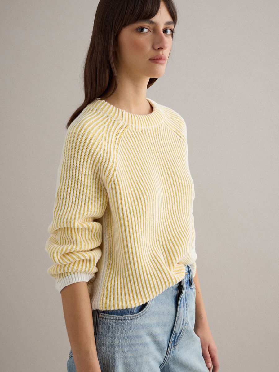 Multicolour striped pure cotton pullover - regular fit_1