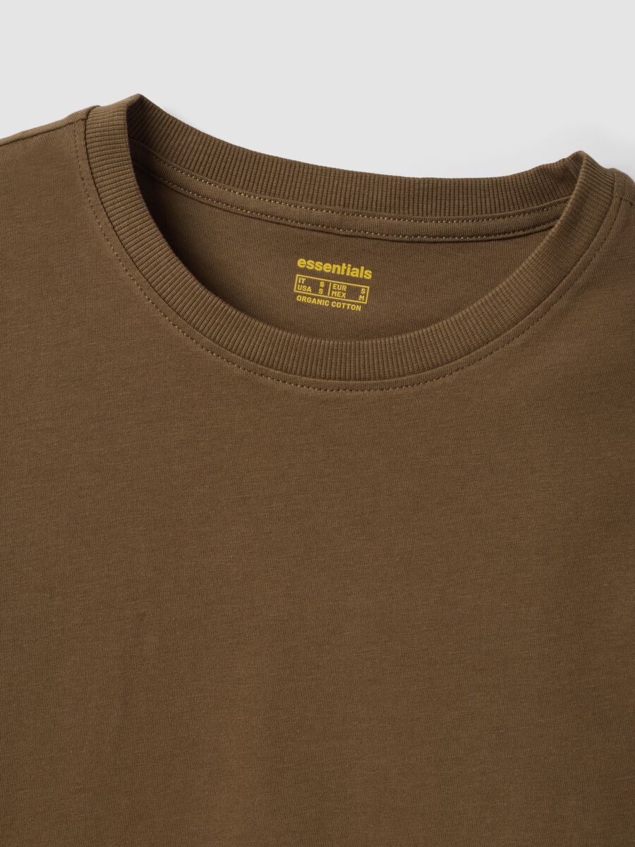 T-shirt verde in puro cotone organico a girocollo regular fit_2