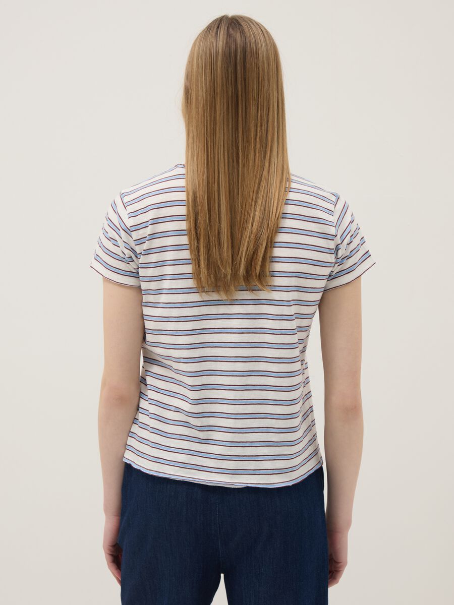 T-shirt a maniche corte in puro cotone a righe multicolor regular fit_3