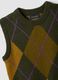 Green jacquard wool-blend crew-neck gilet, regular fit_2