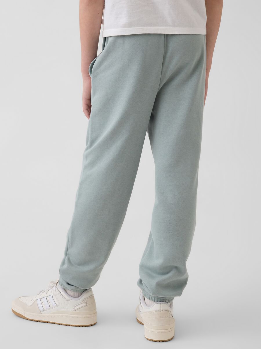 Boys' Green Cotton Blend Jogger Trousers Regular Fit_2