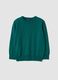Green pure wool long-sleeve jumper, regular fit_0