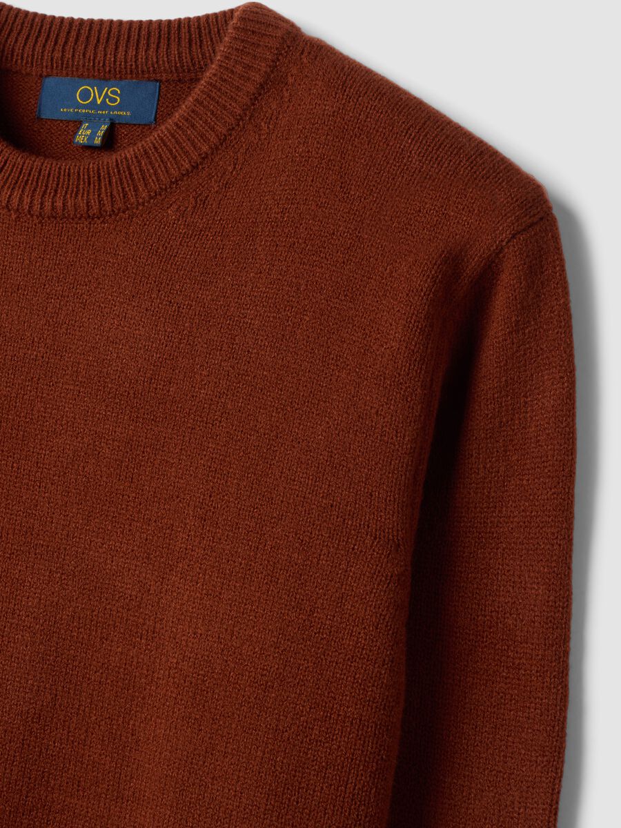 Brown crew-neck jersey knit jumper, regular fit_1
