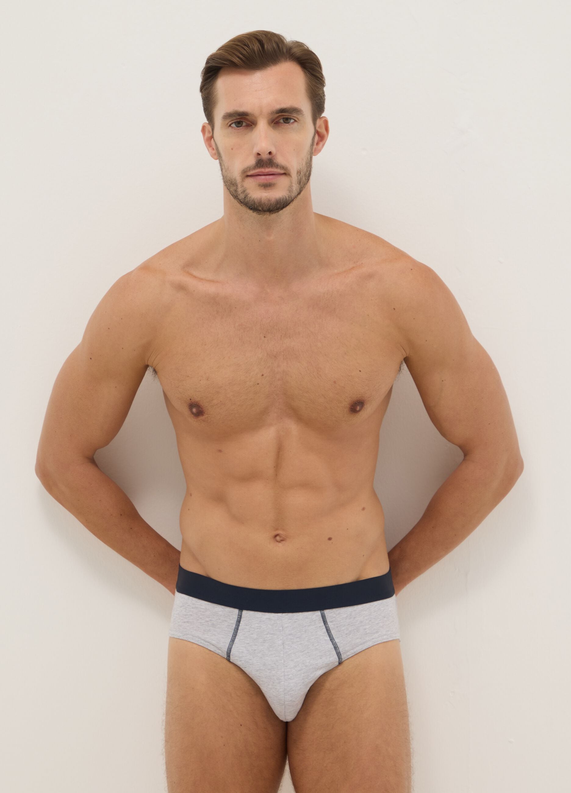 Multipack multicolour regular fit elasticated cotton briefs