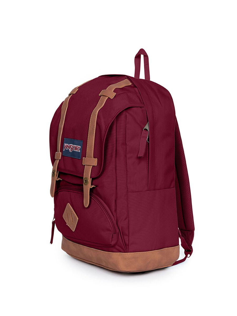 Jansport Cortlandt backpack_2