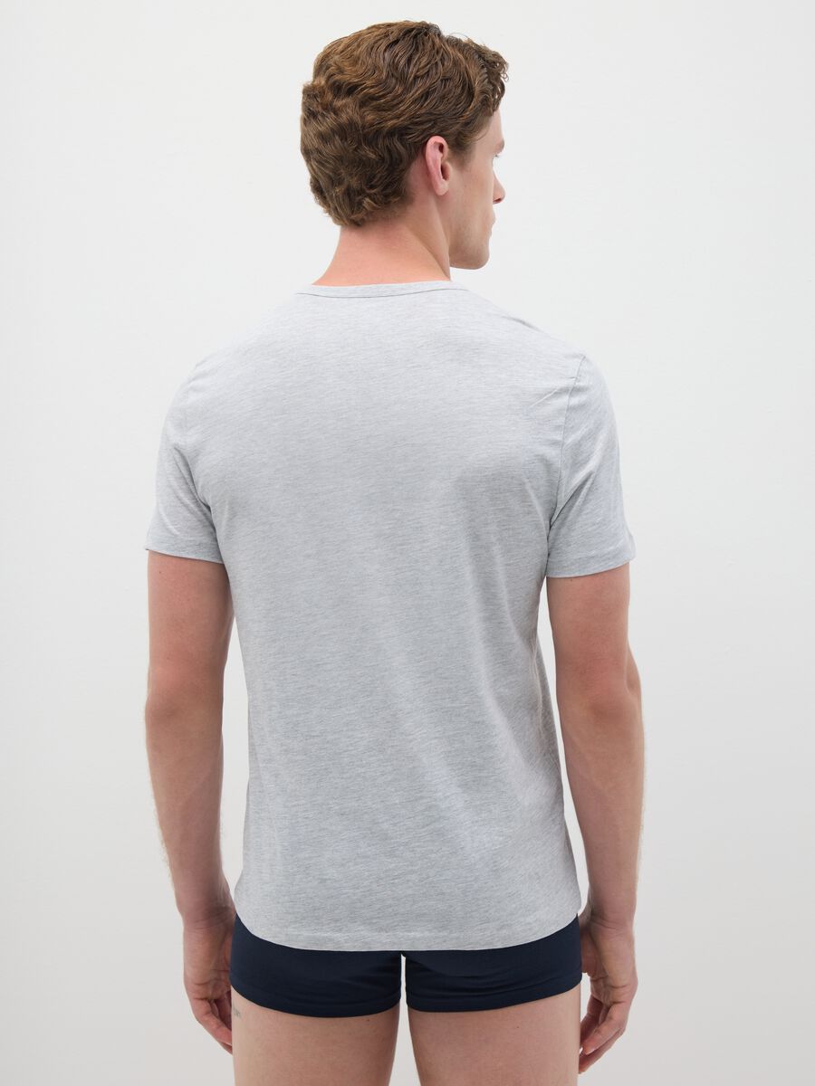 Men's grey pure cotton regular fit t-shirt_3