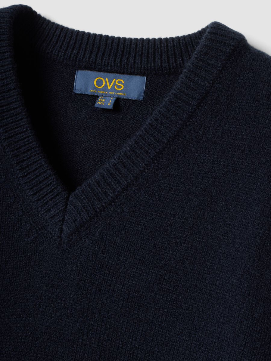 Navy V-neck jumper in regular fit_1