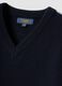 Navy V-neck jumper in regular fit_1