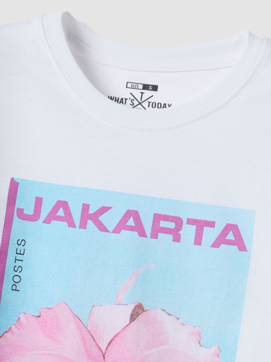 White pure cotton T-shirt with front print_5