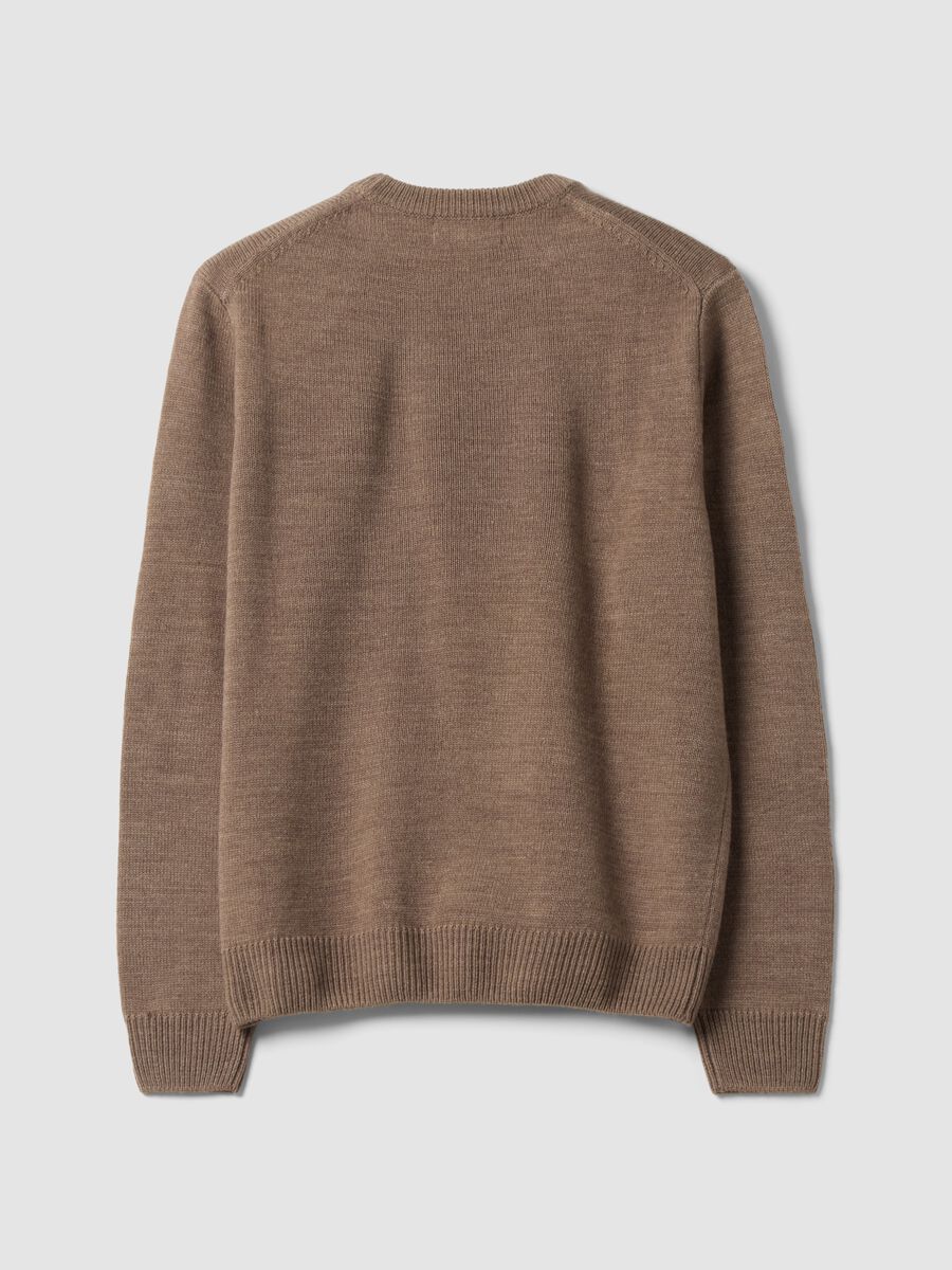 Brown crew-neck jersey knit jumper, regular fit_2