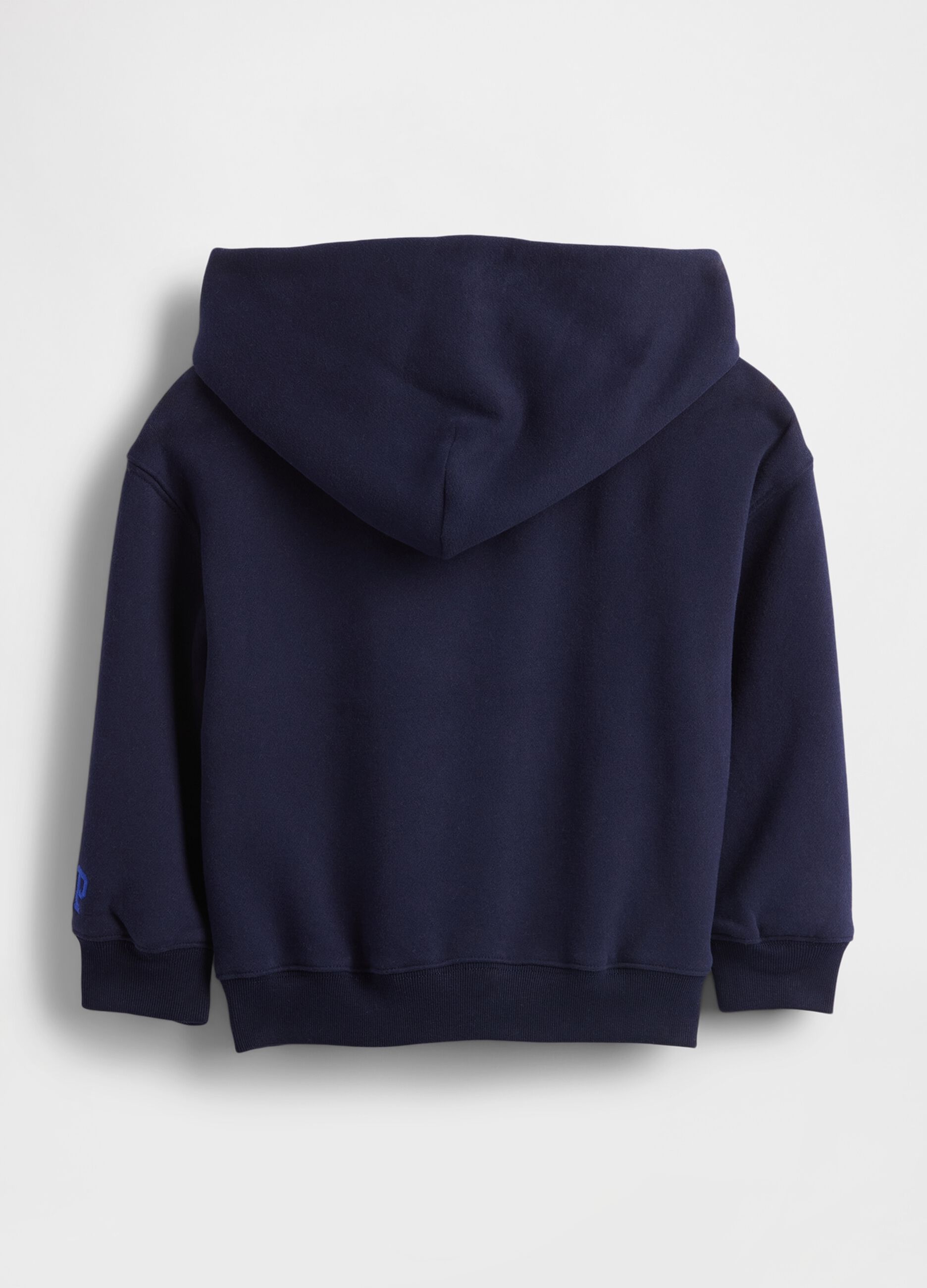 Blue Dinosaur Sweatshirt for Kids