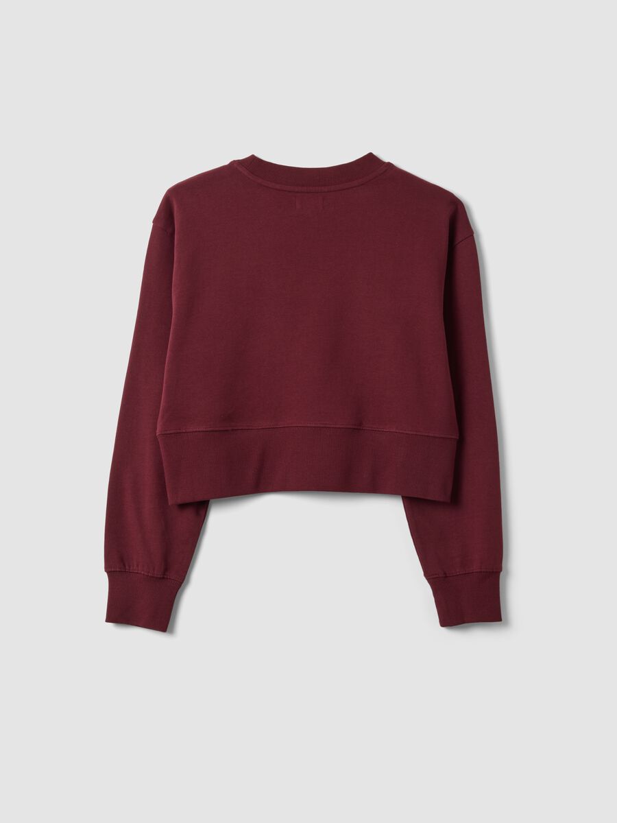 Short purple sweatshirt in pure organic cotton with ribbed neckline_5