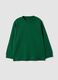 Green long-sleeve crew-neck pure cotton T-shirt for boys_3