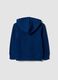 Blue hooded sweatshirt in pure organic cotton for boys, regular fit_1