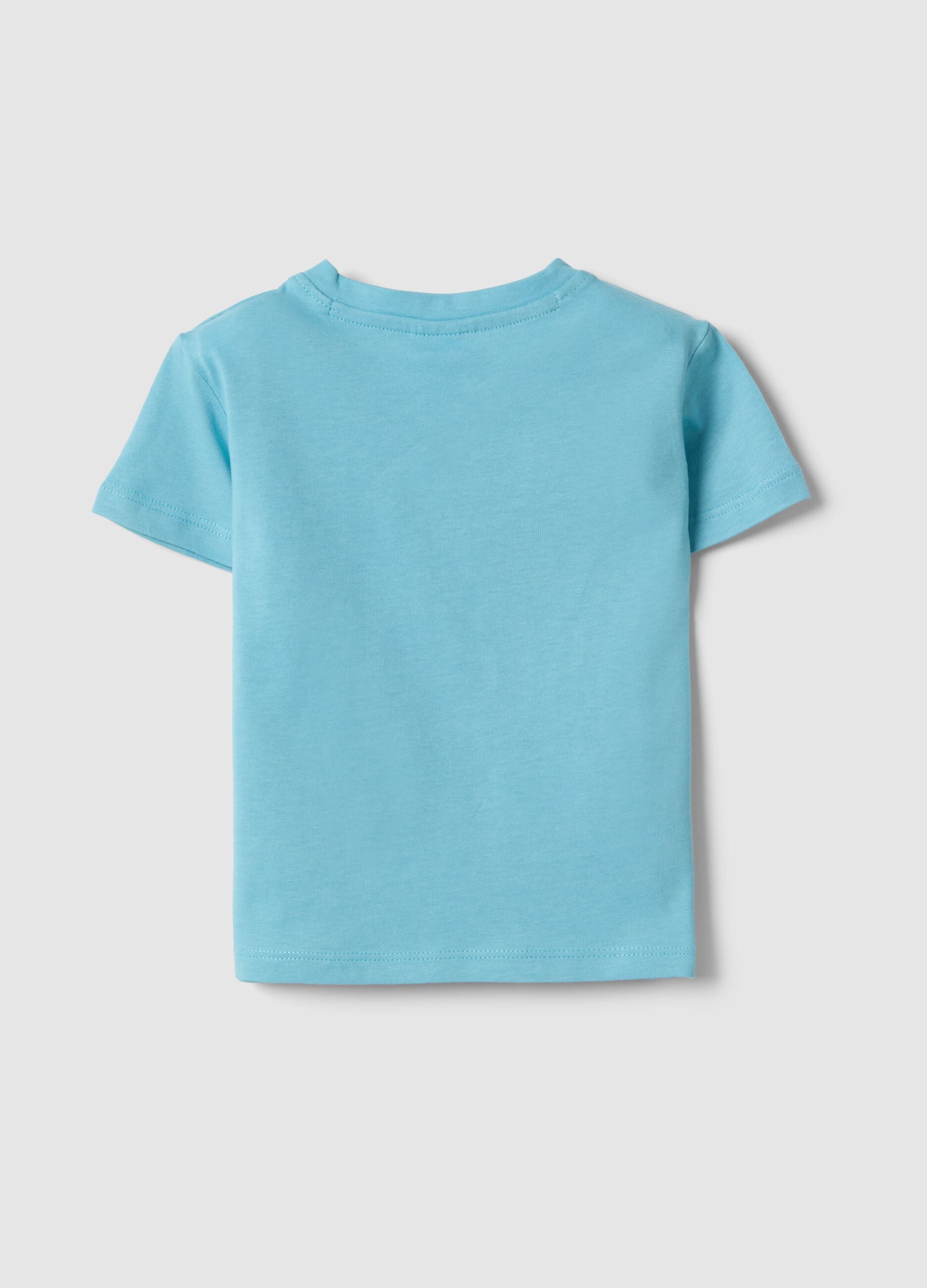 Boys' Regular Fit Sky Blue Pure Cotton T-shirt with Riding Tiger