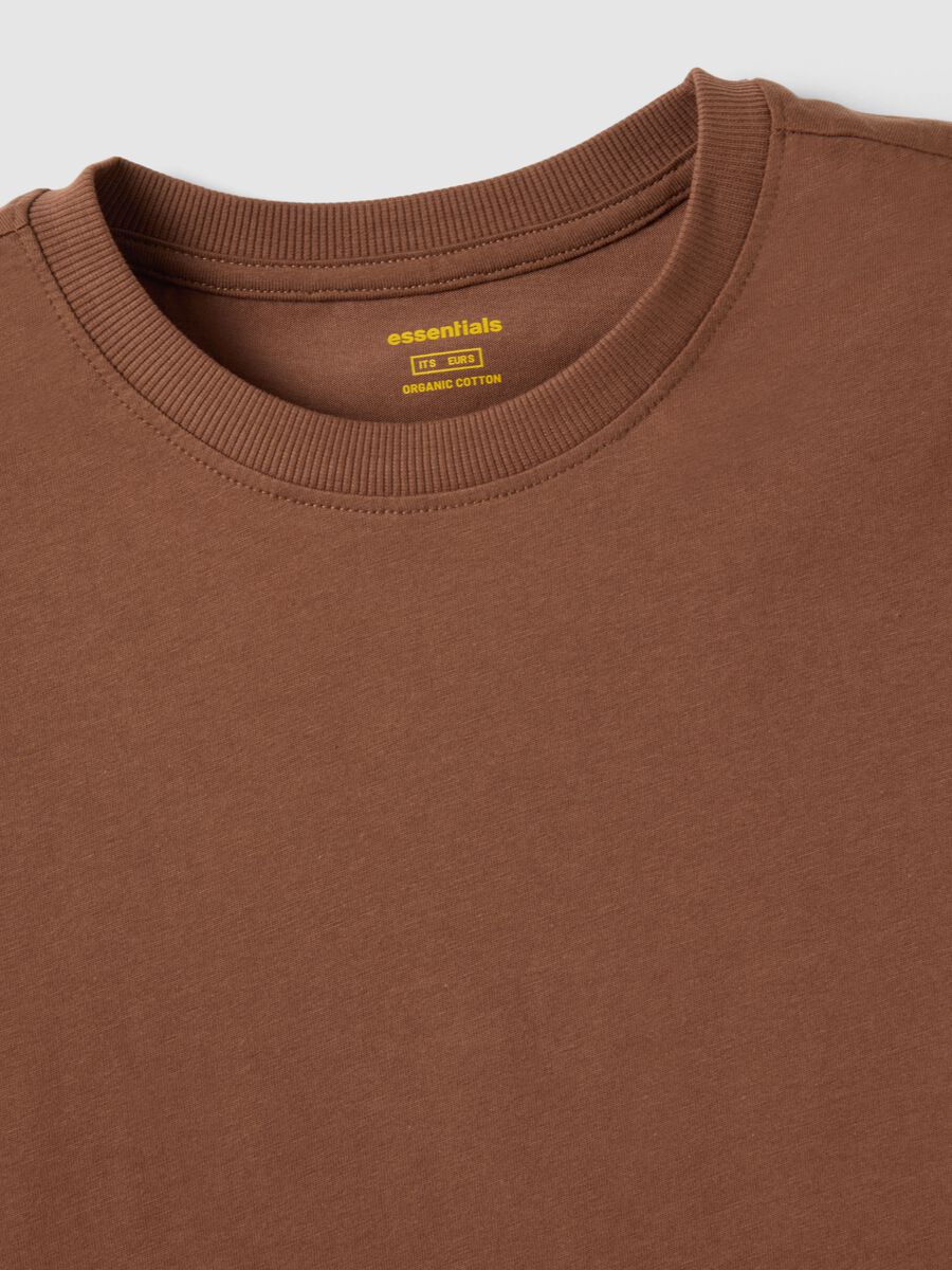 Brown pure cotton crew neck T-shirt regular fit_5