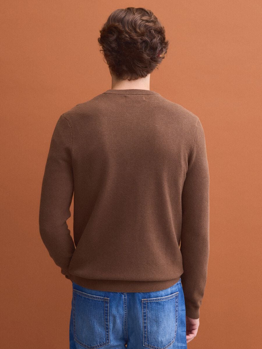 Brown pure cotton crew-neck jumper, regular fit_3