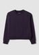 Purple cotton-blend crew-neck sweatshirt, regular fit_0