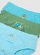 Multipack of pure cotton multicoloured regular fit baby briefs_2
