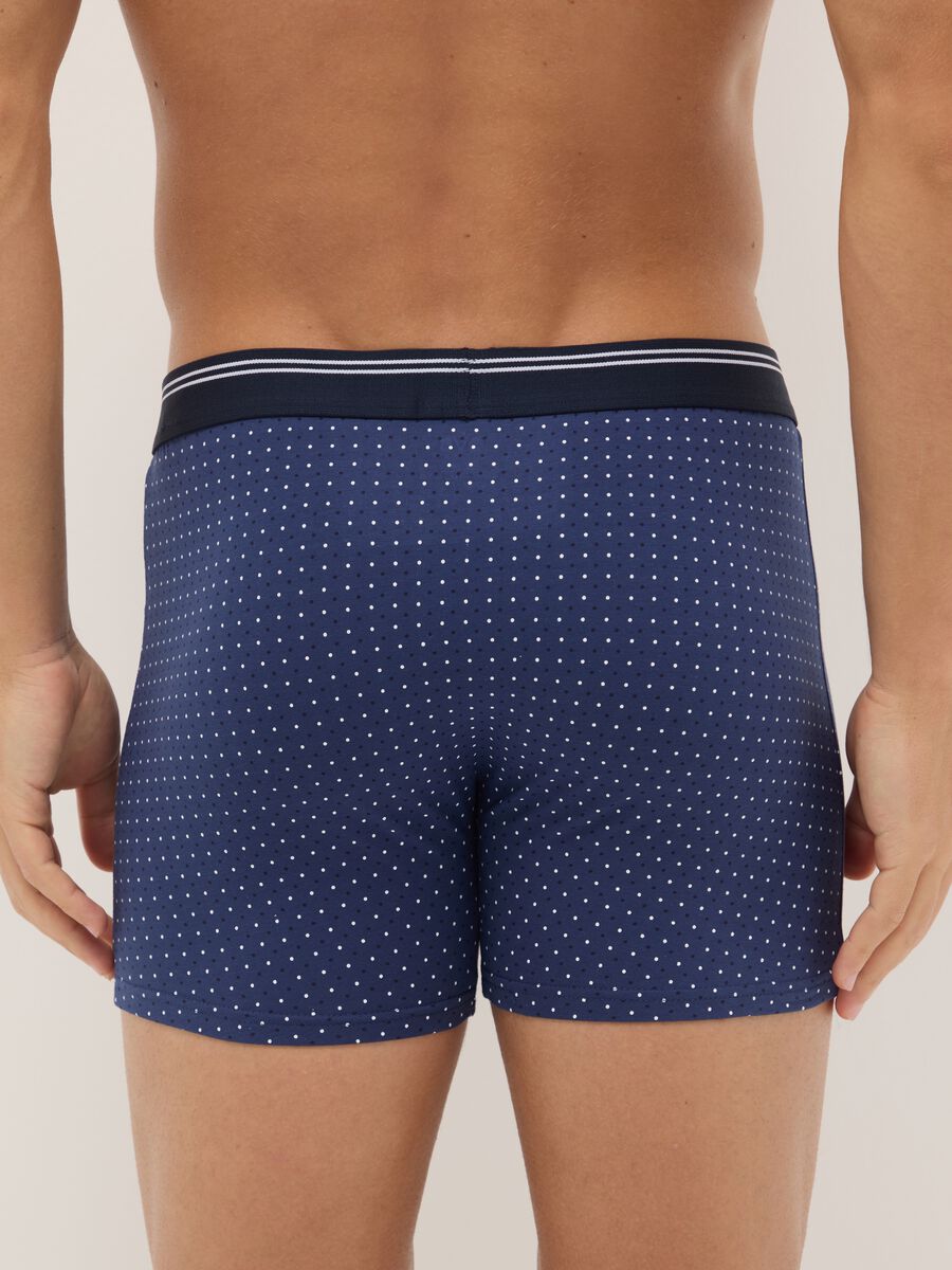 Three-pack of multicolour polka dot midi boxer briefs in stretch organic cotton, regular fit_2