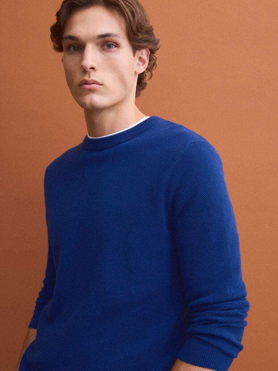 Blue pure cotton crew-neck jumper, regular fit_0