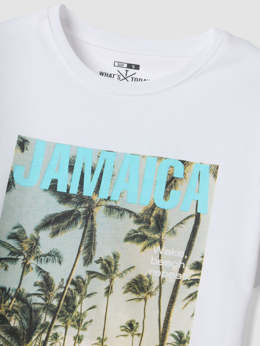 White pure cotton T-shirt with front print, regular fit_5