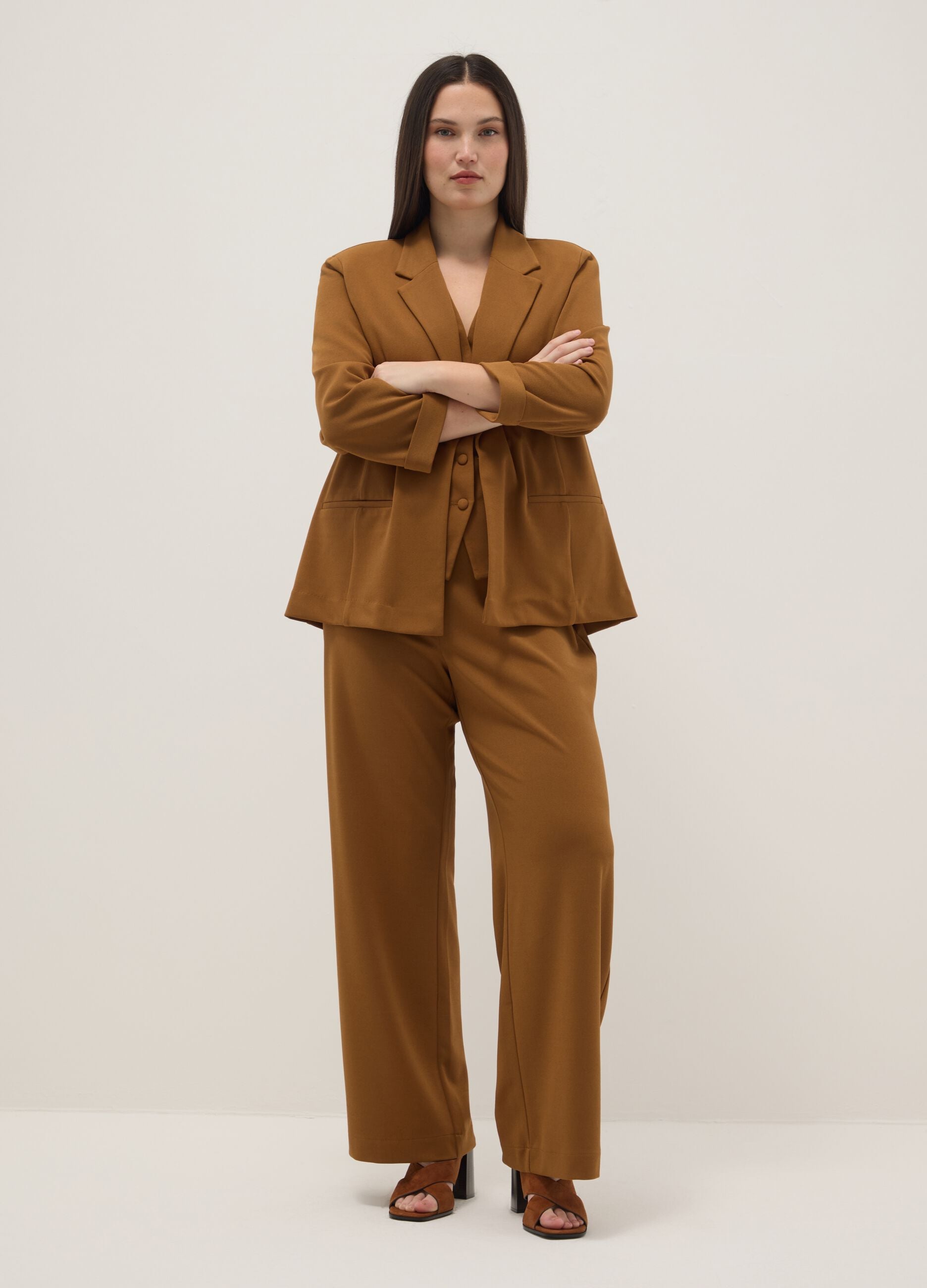 Brown Regular Fit Blazer